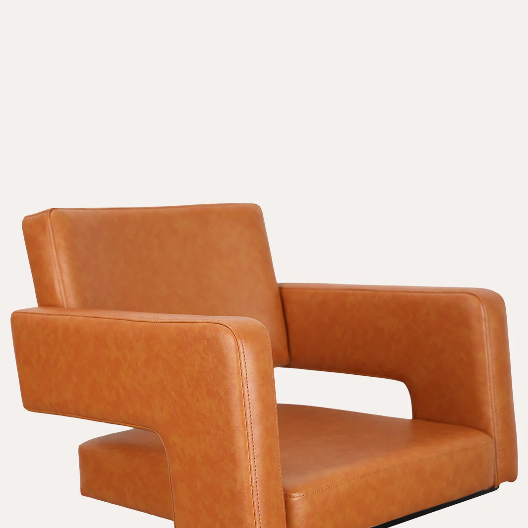 Alura Salon Chair - Image 106