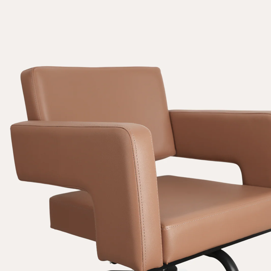 Alura Salon Chair - Image 133