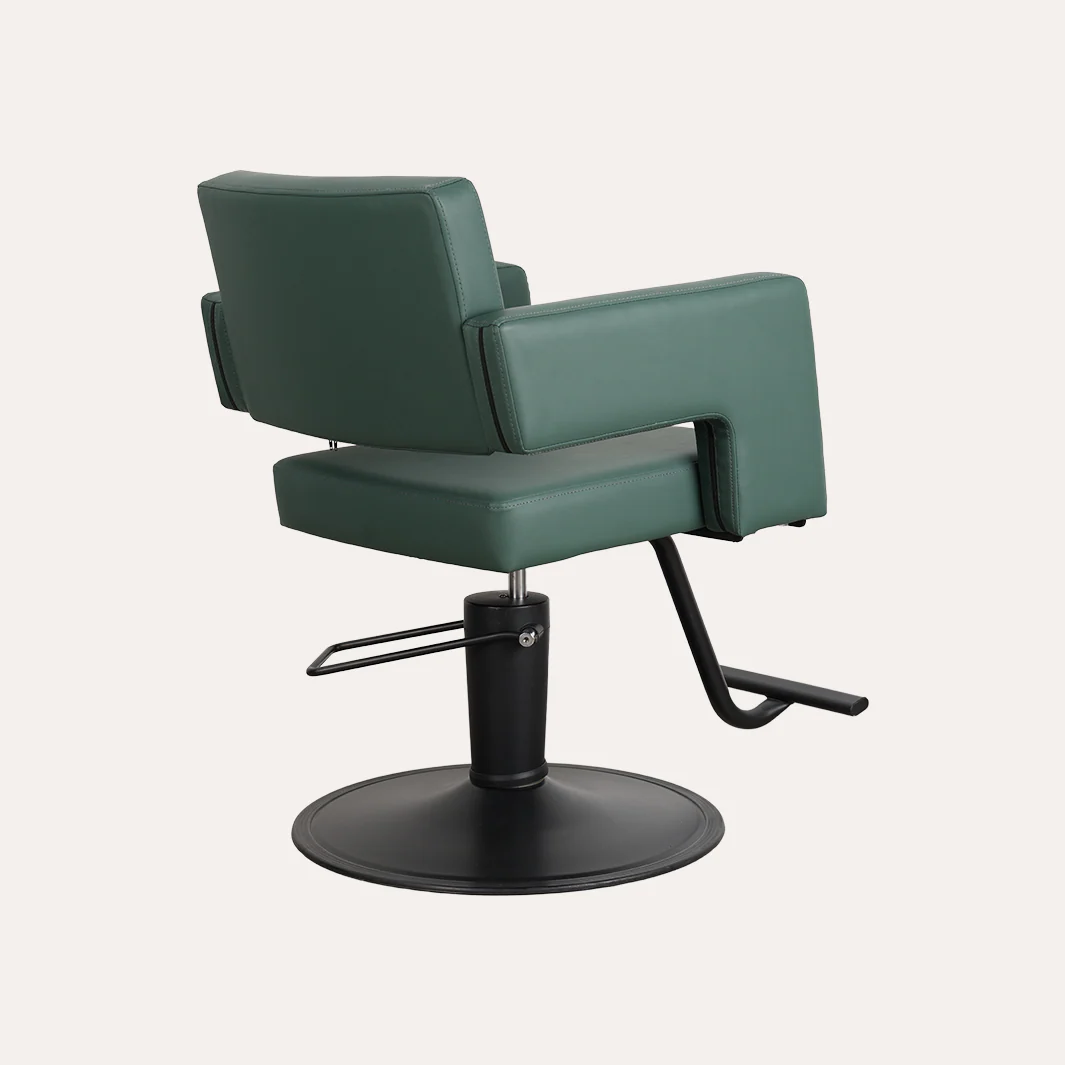 Alura Salon Chair - Image 143