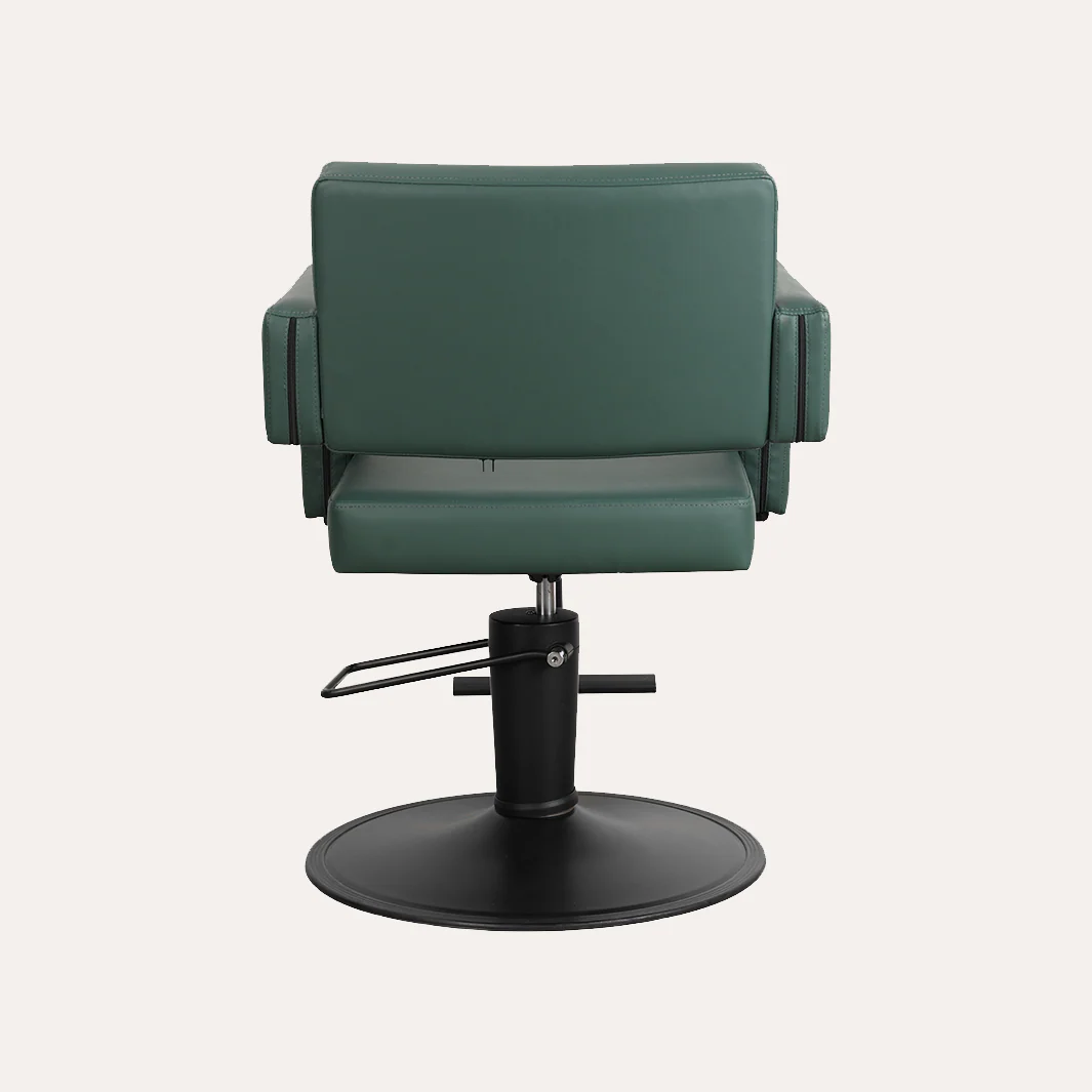 Alura Salon Chair - Image 145