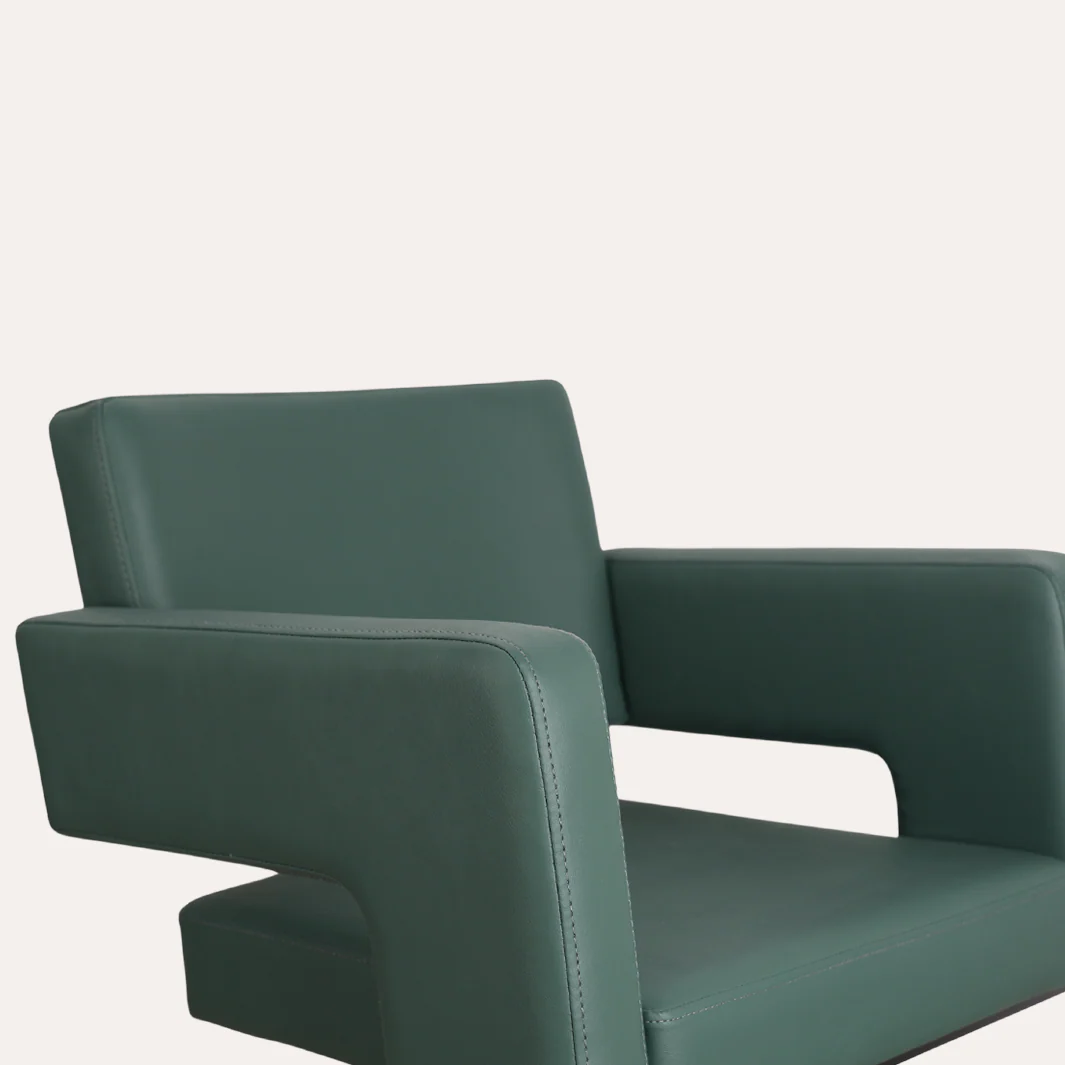 Alura Salon Chair - Image 151