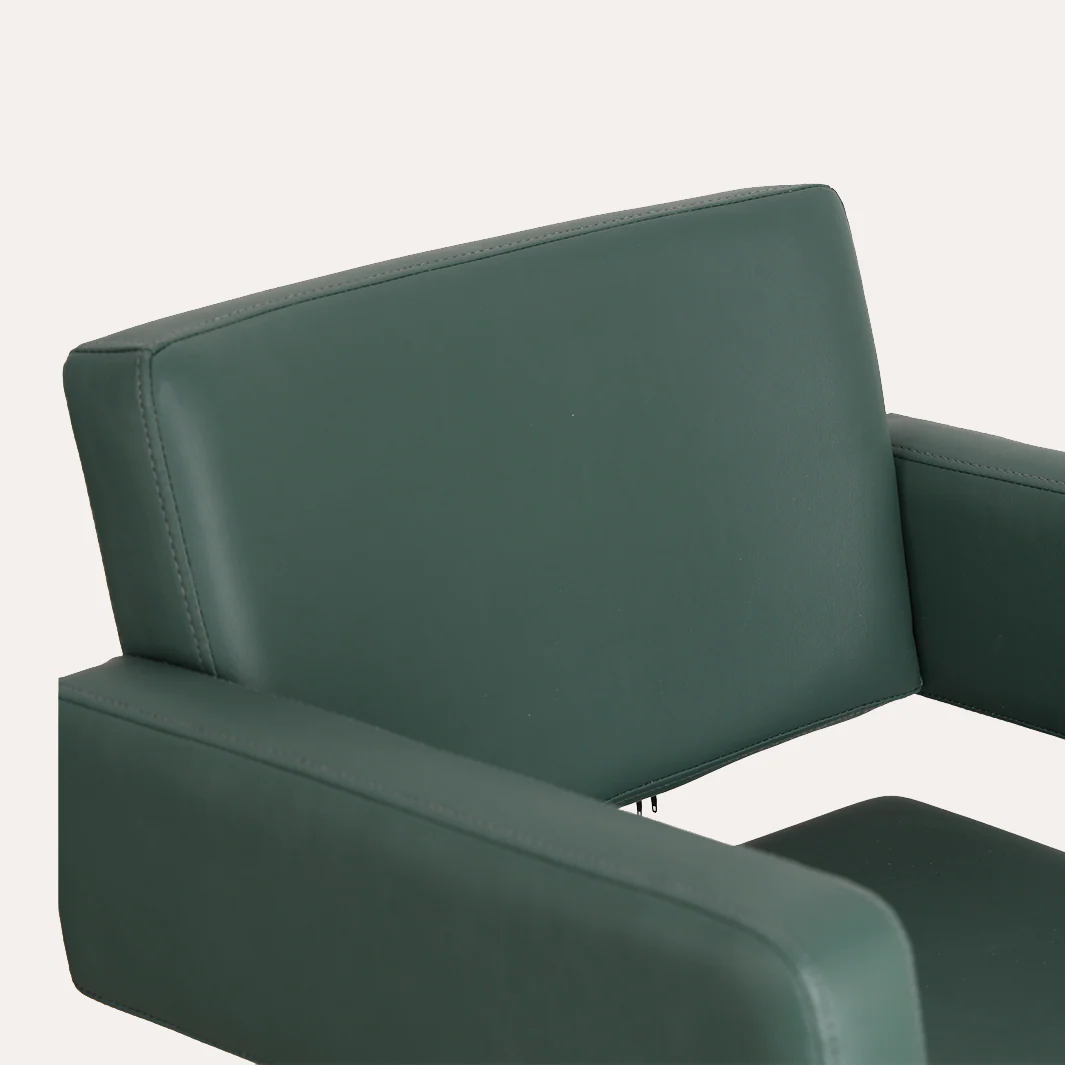 Alura Salon Chair - Image 153