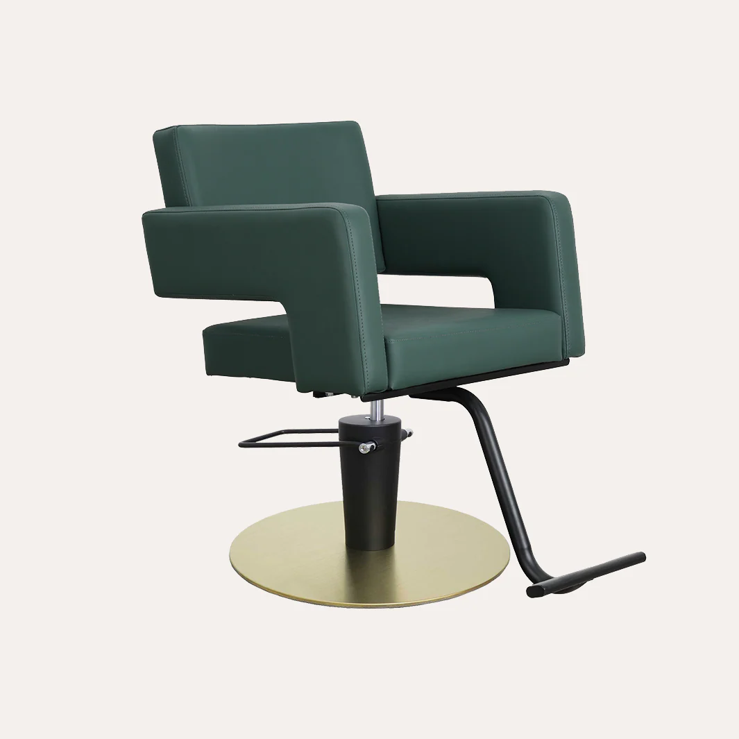 Alura Salon Chair - Image 166