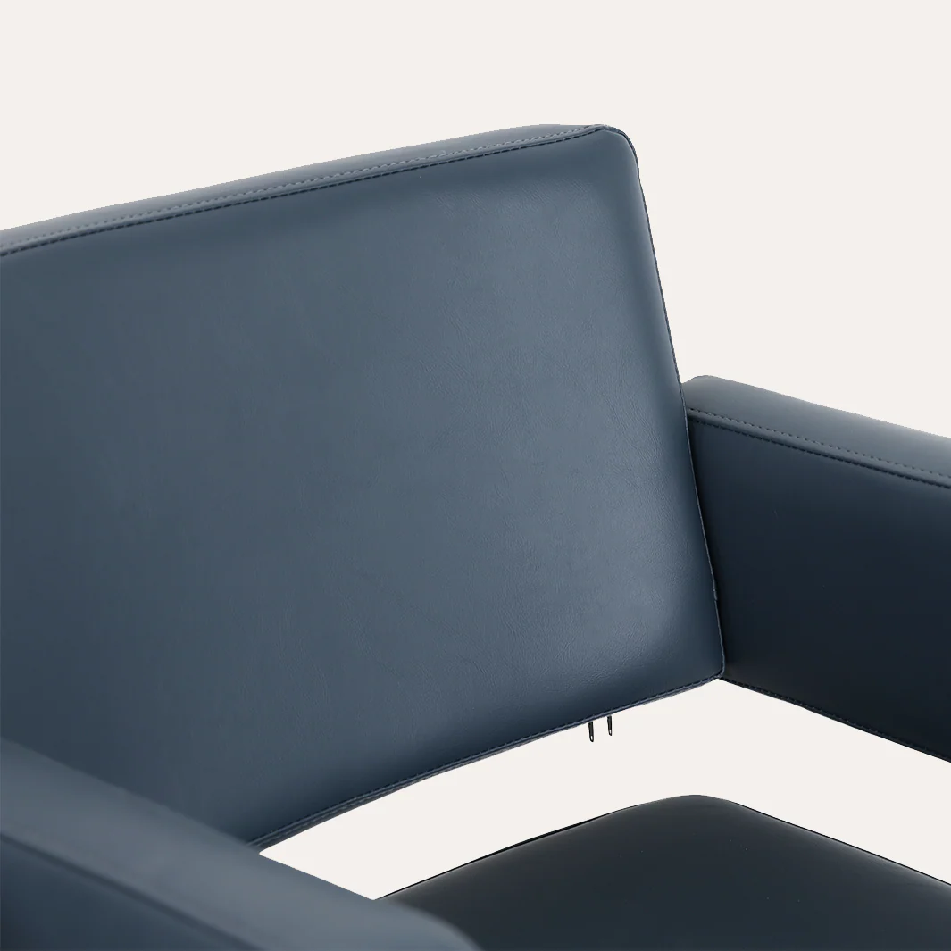 Alura Salon Chair - Image 192