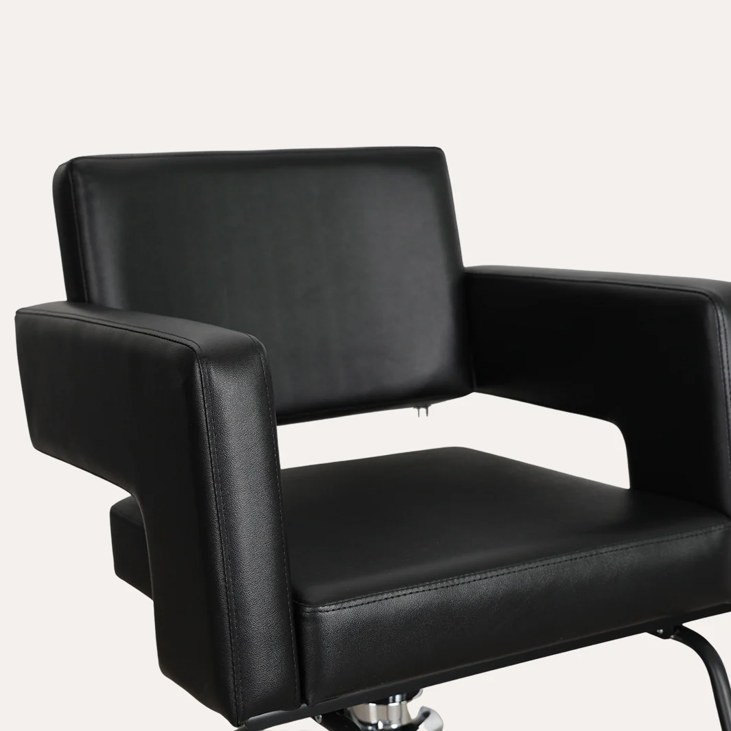 Alura Salon Chair - Image 20
