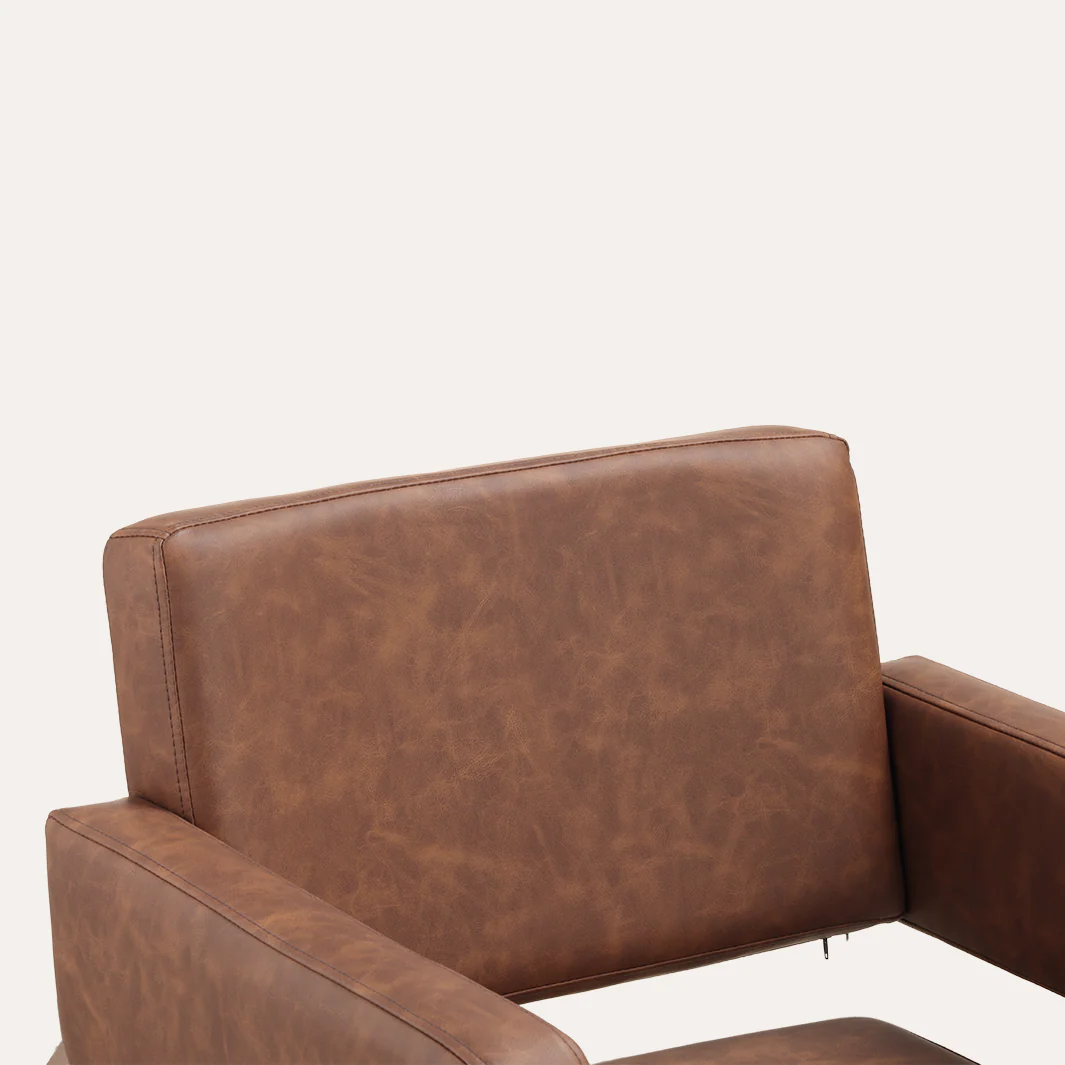 Alura Salon Chair - Image 206