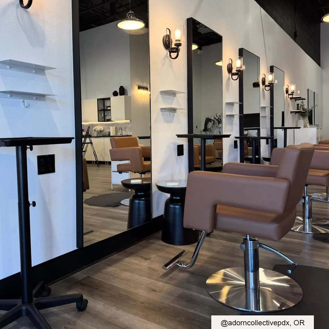 Alura Salon Chair - Image 4