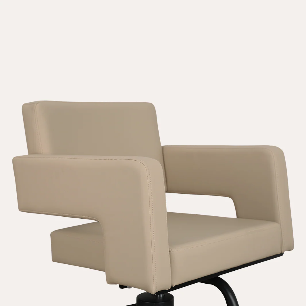Alura Salon Chair - Image 74