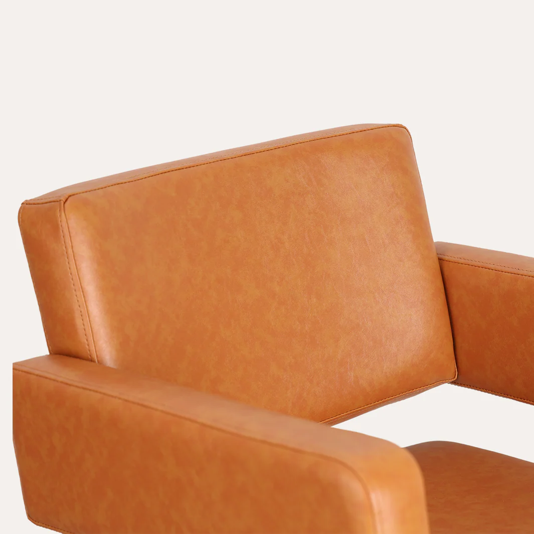 Alura Salon Chair - Image 99