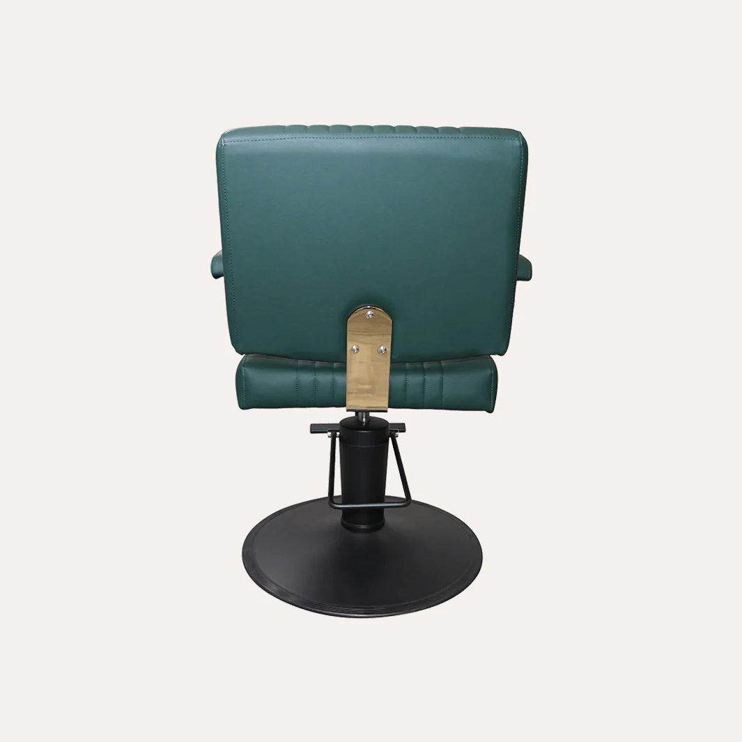 Athena Salon Chair - Image 82