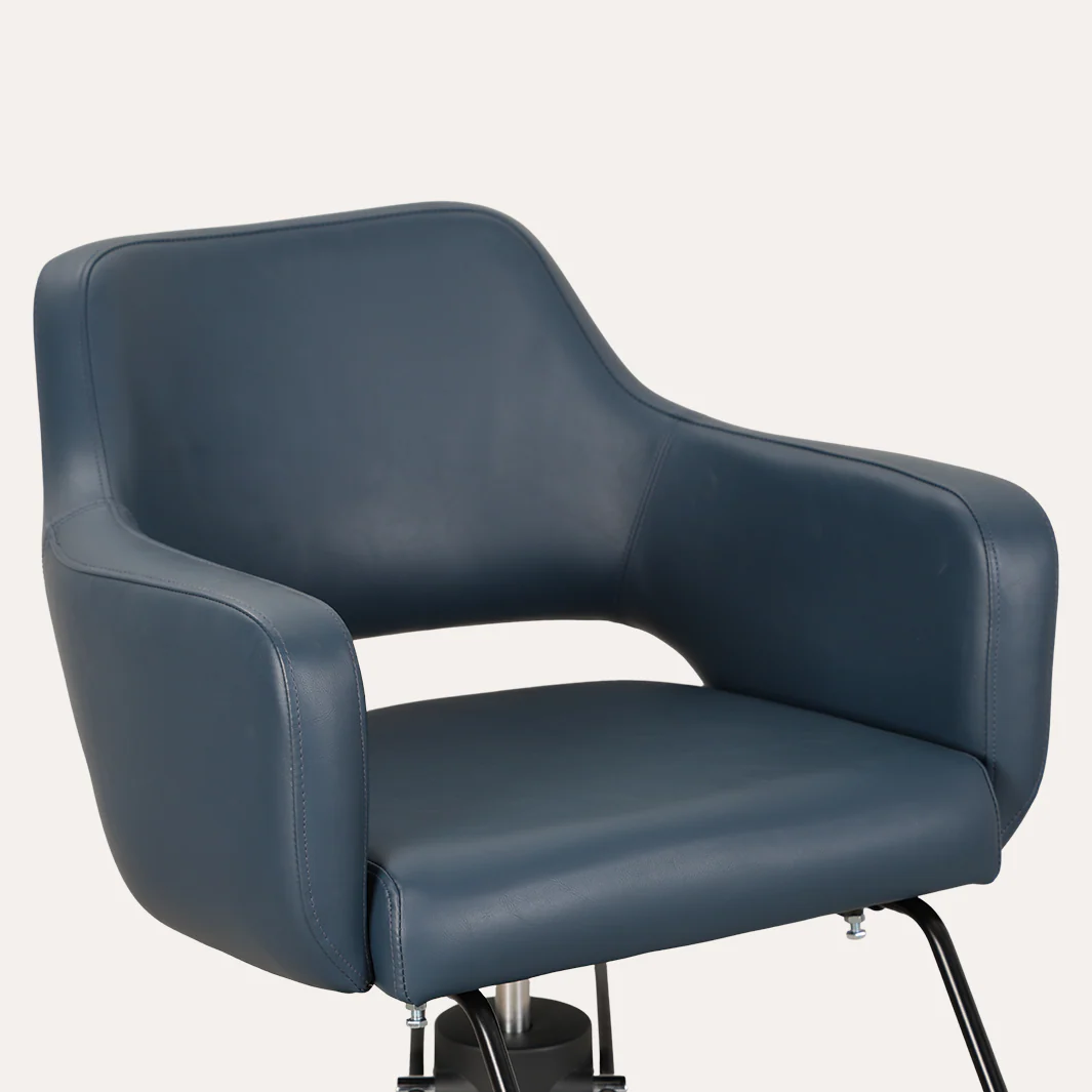 Chic Salon Chair - Image 121