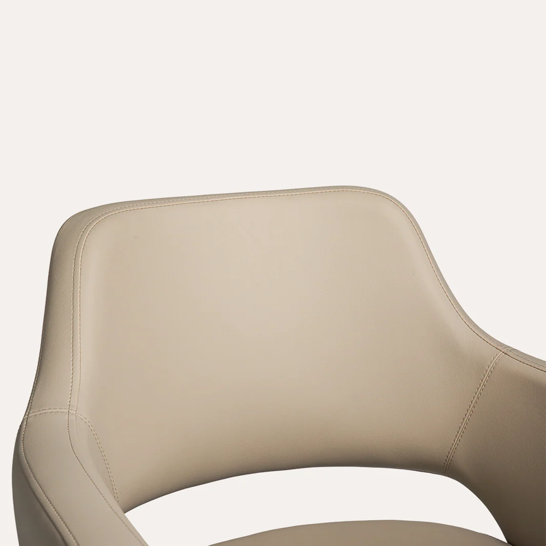 Chic Salon Chair - Image 68