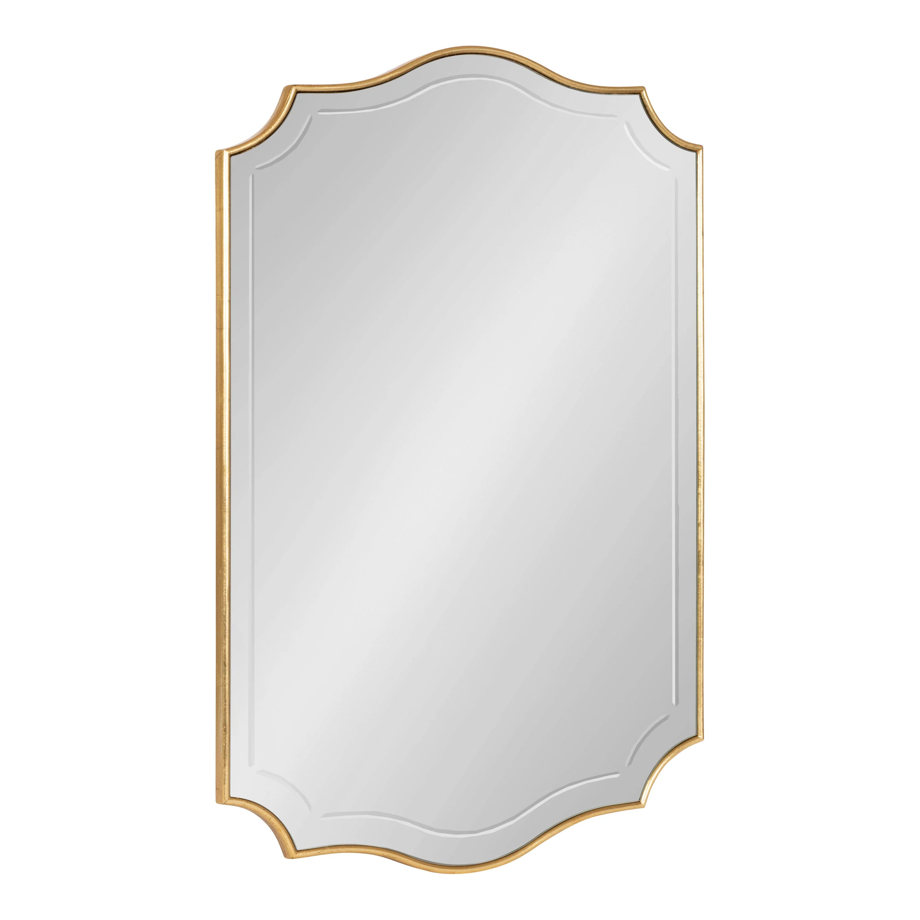 Hollyn Decorative Framed Wall Mirror - Image 13